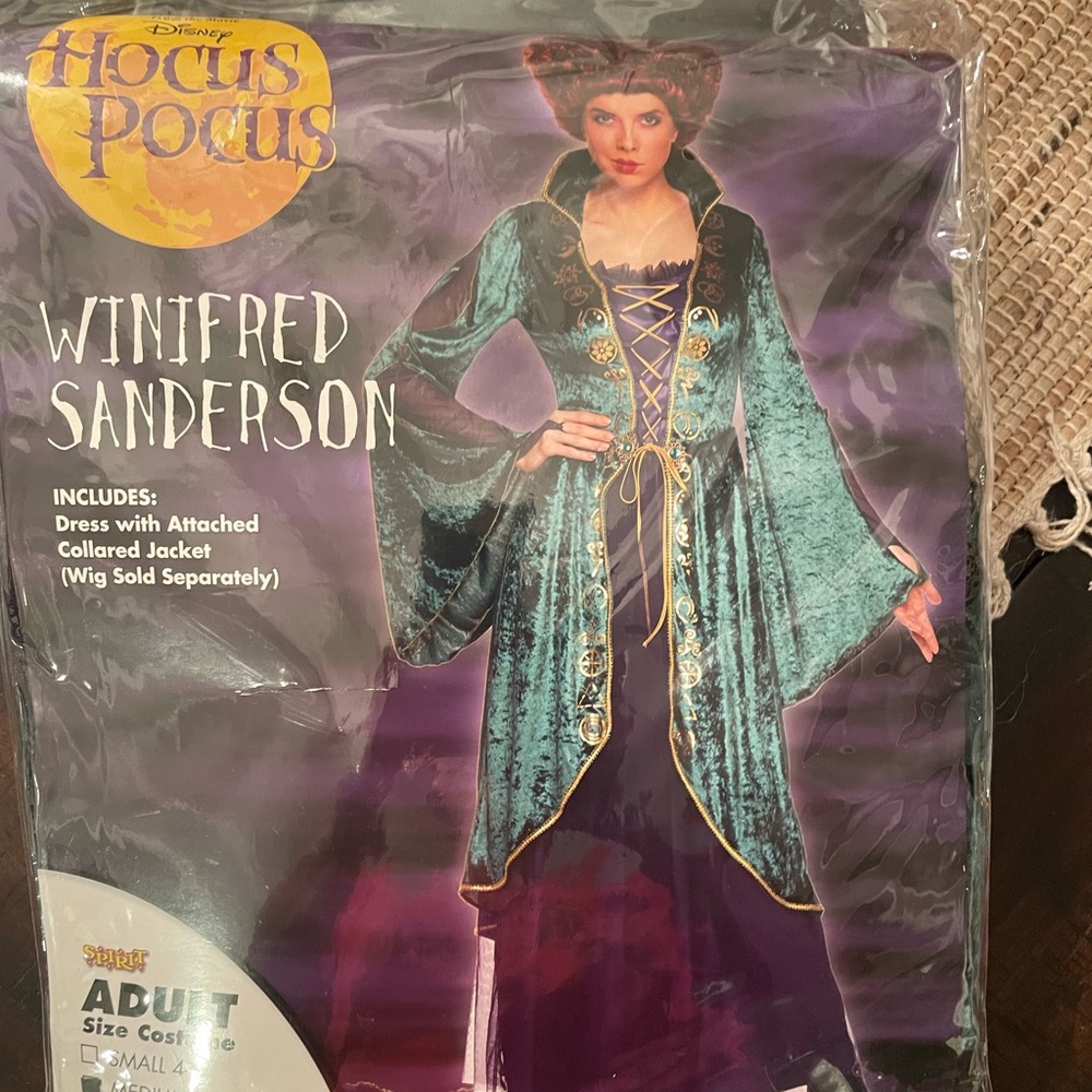 Disney Hocus Pocus Winifred costume